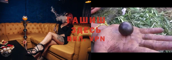 гашик Майский