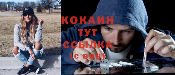 гашик Майский