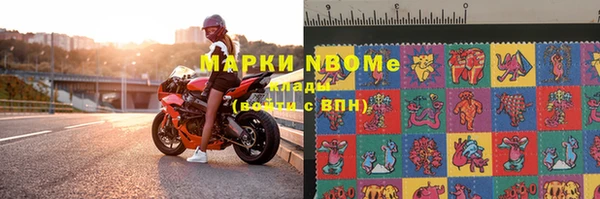 гашик Майский