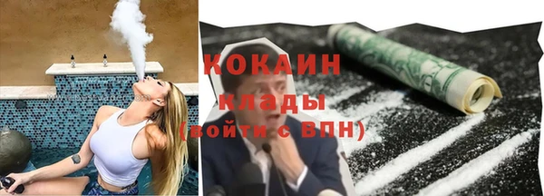 гашик Майский