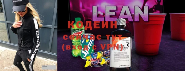 гашик Майский