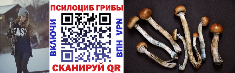 Галлюциногенные грибы ЛСД  Купить  Партизанск 